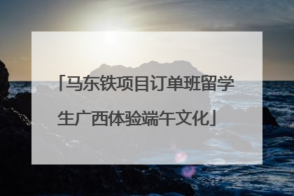 马东铁项目订单班留学生广西体验端午文化