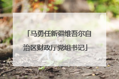 马勇任新疆维吾尔自治区财政厅党组书记