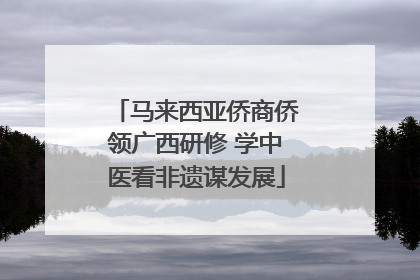 马来西亚侨商侨领广西研修 学中医看非遗谋发展