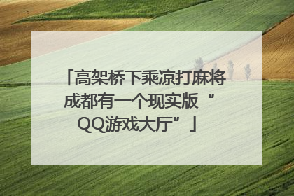 高架桥下乘凉打麻将 成都有一个现实版“QQ游戏大厅”