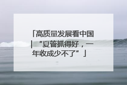 高质量发展看中国｜“夏管抓得好，一年收成少不了”
