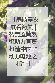 高质量发展看海关｜智慧监管系统助力宜宾打造中国“动力电池之都”