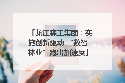 龙江森工集团：实施创新驱动 “数智林业”跑出加速度