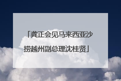 龚正会见马来西亚沙捞越州副总理沈桂贤
