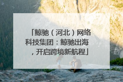 鲸驰（河北）网络科技集团：鲸驰出海，开启跨境新航程