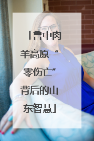 鲁中肉羊高原“零伤亡”背后的山东智慧
