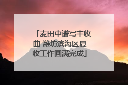 麦田中谱写丰收曲 潍坊滨海区夏收工作圆满完成