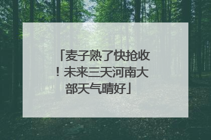 麦子熟了快抢收！未来三天河南大部天气晴好