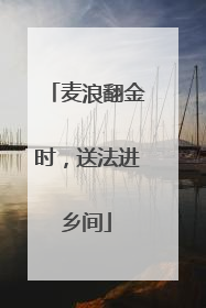 麦浪翻金时，送法进乡间