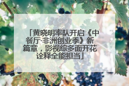 黄晓明率队开启《中餐厅·非洲创业季》新篇章，影视综多面开花诠释全能担当