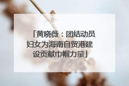 黄晓薇：团结动员妇女为海南自贸港建设贡献巾帼力量