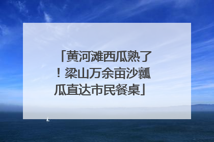 黄河滩西瓜熟了！梁山万余亩沙瓤瓜直达市民餐桌