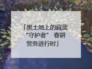 黑土地上的藏蓝“守护者” 春耕警务进行时