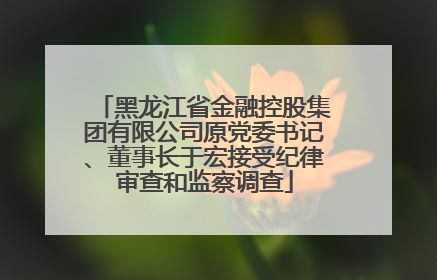黑龙江省金融控股集团有限公司原党委书记、董事长于宏接受纪律审查和监察调查