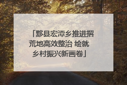 黟县宏潭乡推进撂荒地高效整治 绘就乡村振兴新画卷