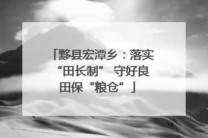 黟县宏潭乡：落实“田长制” 守好良田保“粮仓”