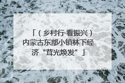 （乡村行·看振兴）内蒙古东部小镇林下经济“茸光焕发”