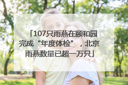 107只雨燕在颐和园完成“年度体检”，北京雨燕数量已超一万只