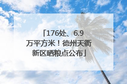 176处、6.9万平方米！德州天衢新区晒粮点公布
