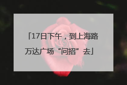 17日下午，到上海路万达广场“问招”去