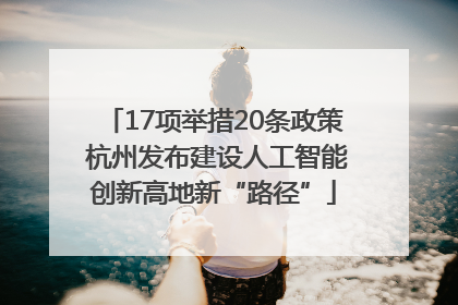 17项举措20条政策 杭州发布建设人工智能创新高地新“路径”