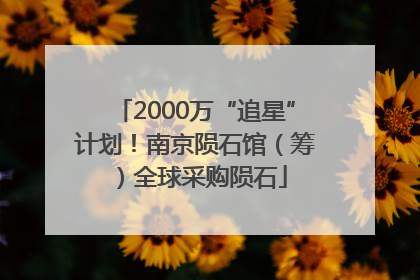 2000万“追星”计划！南京陨石馆（筹）全球采购陨石