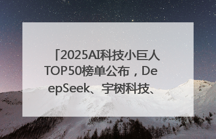 2025AI科技小巨人TOP50榜单公布，DeepSeek、宇树科技、蘑菇车联等企业荣誉上榜