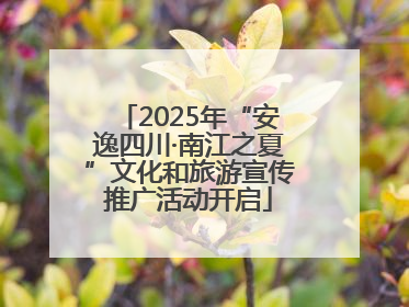 2025年“安逸四川·南江之夏”文化和旅游宣传推广活动开启