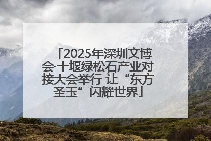 2025年深圳文博会·十堰绿松石产业对接大会举行 让“东方圣玉”闪耀世界