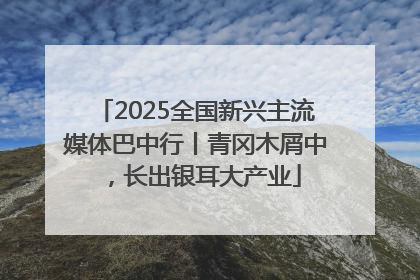 2025全国新兴主流媒体巴中行丨青冈木屑中，长出银耳大产业