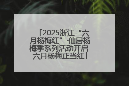 2025浙江“六月杨梅红”·仙居杨梅季系列活动开启 六月杨梅正当红