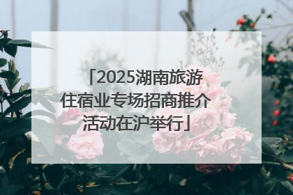 2025湖南旅游住宿业专场招商推介活动在沪举行