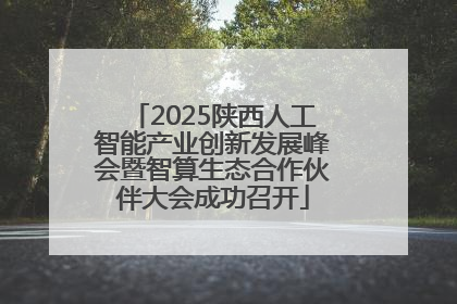 2025陕西人工智能产业创新发展峰会暨智算生态合作伙伴大会成功召开