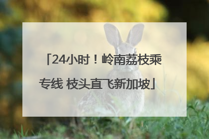24小时！岭南荔枝乘专线 枝头直飞新加坡