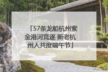 57条龙船杭州紫金港河竞逐 新老杭州人共度端午节