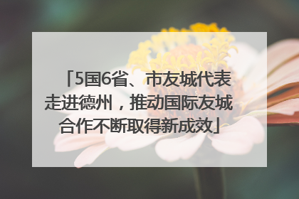 5国6省、市友城代表走进德州，推动国际友城合作不断取得新成效