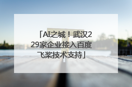 AI之城！武汉229家企业接入百度飞桨技术支持