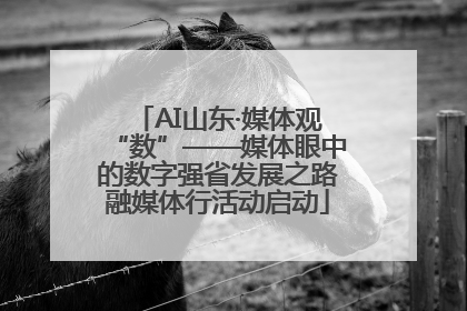 AI山东·媒体观“数”——媒体眼中的数字强省发展之路融媒体行活动启动