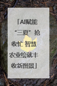 AI赋能“三夏”抢收忙 智慧农业绘就丰收新图景
