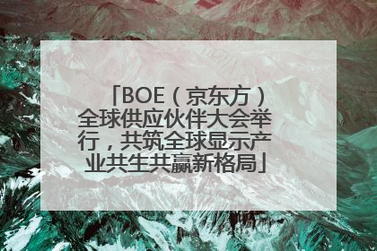 BOE（京东方）全球供应伙伴大会举行，共筑全球显示产业共生共赢新格局