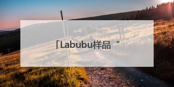 Labubu样品“痛墙”成打卡地标！开业4天已被挤爆，堪比早高峰菜市场